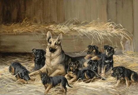 Собака со щенятами занятие в средней группе