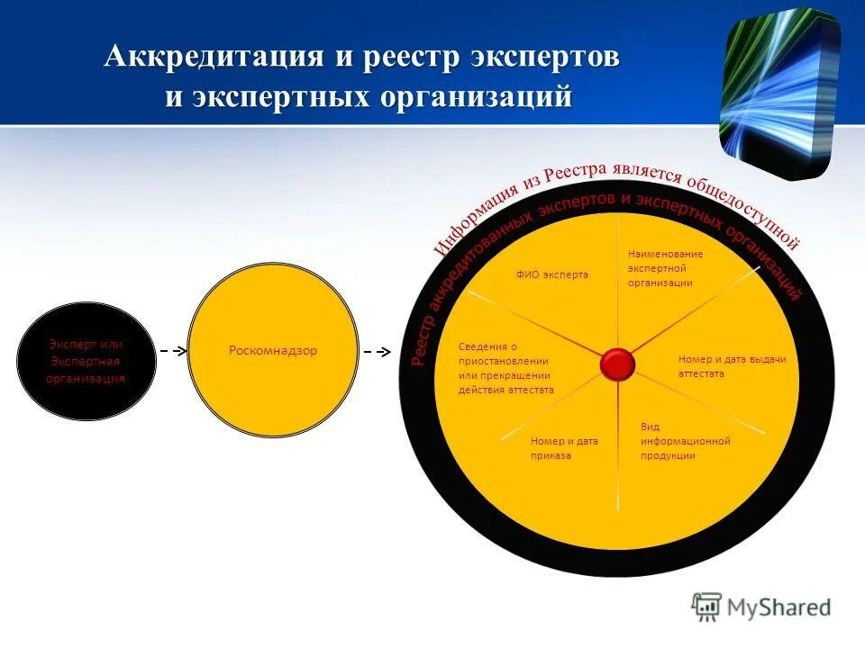 Судекс некоммерческое партнерство. Руководитель (фио, должность) практики от организации. Фио эксперта. Фио эксперта. Фио эксперта.