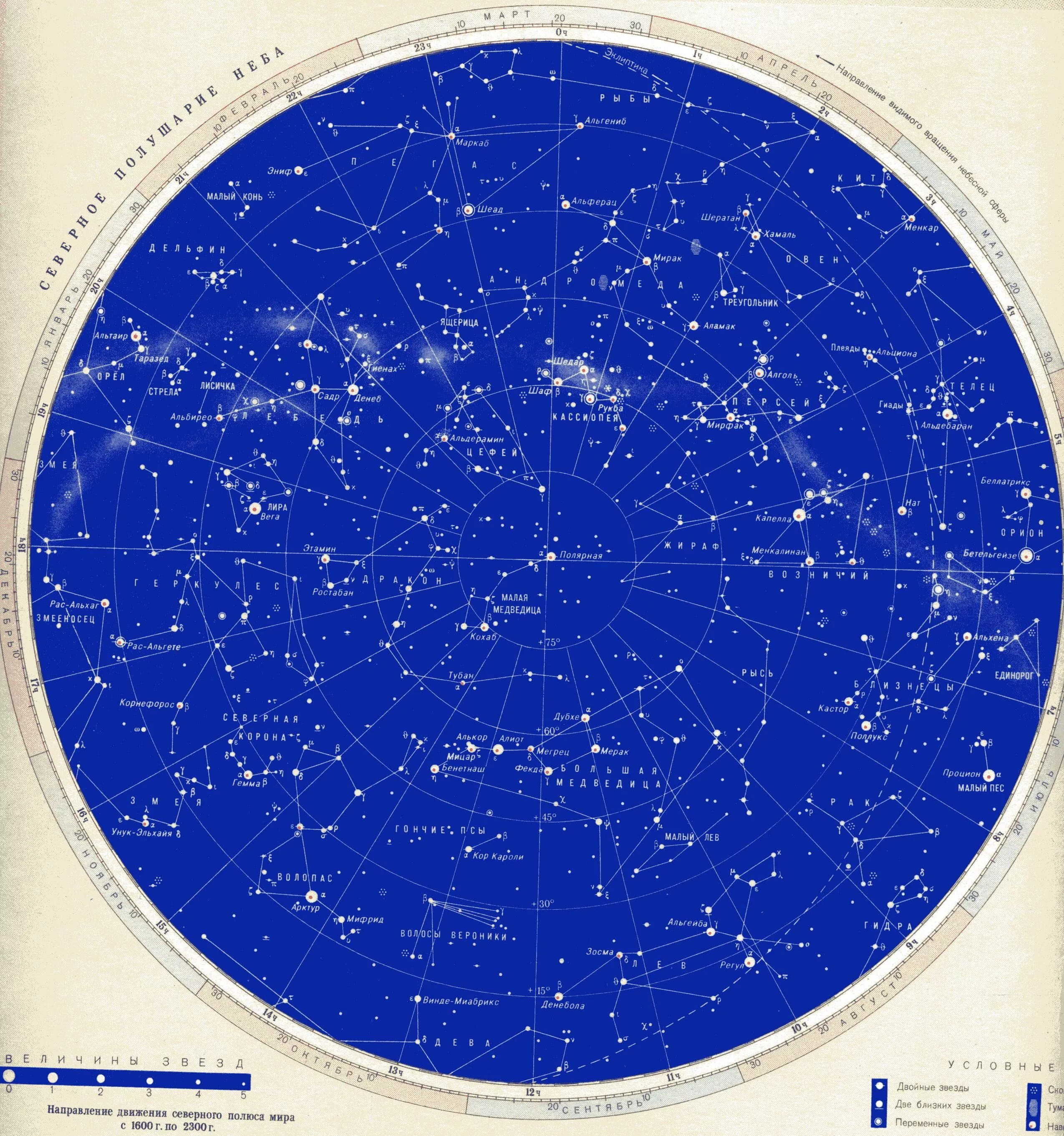 Карта звездного неба Северного полушария с созвездиями. Карта звёздного неба Северное полушарие. Карта звёздного неба Северное полушарие звезды. Инструкция звездного неба на русском