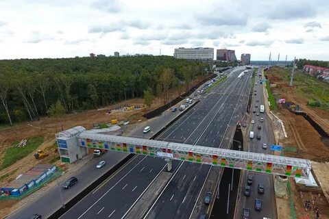 Дорога через сосенки