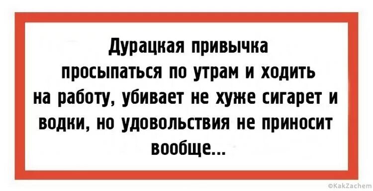 Глупые вопросы анекдоты. Дурацкие шутки. Приколы про глупую работу. Работать глупо