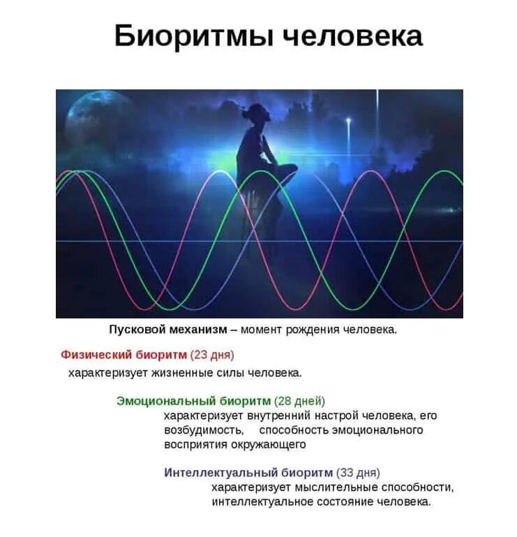 Совместимость биоритмов по дате рождения. Биоритмы человека. Биоритмы человека по дате рождения. Эмоциональный Биоритм человека. Совместимость по биоритмам и чакрам.