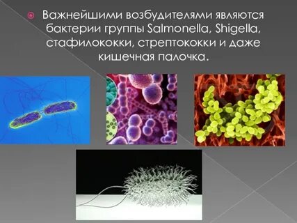 Возбудитель пищевых