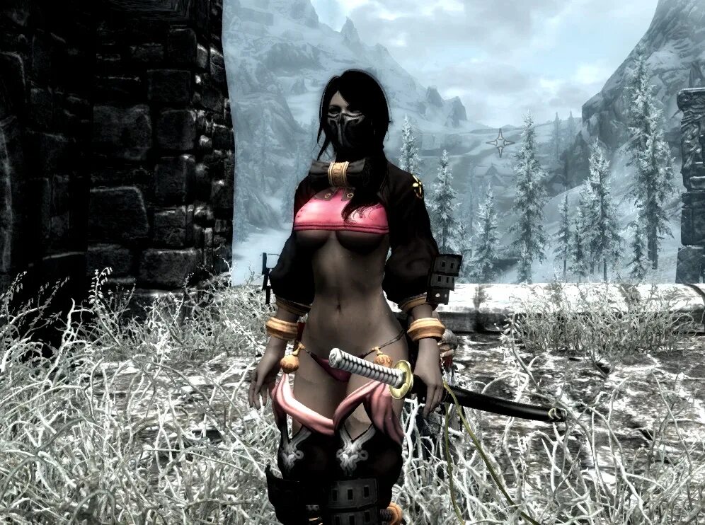Skyrim для модов