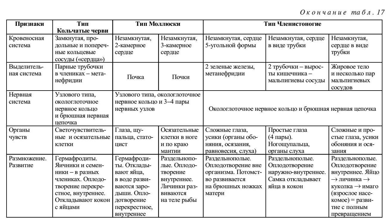 Сравнительная таблица безпозв. Сравнение беспозвоночных животных таблица. Сравнительная анатомия беспозвоночных таблица. Нервная система беспозвоночных таблица. Класс беспозвоночные таблица