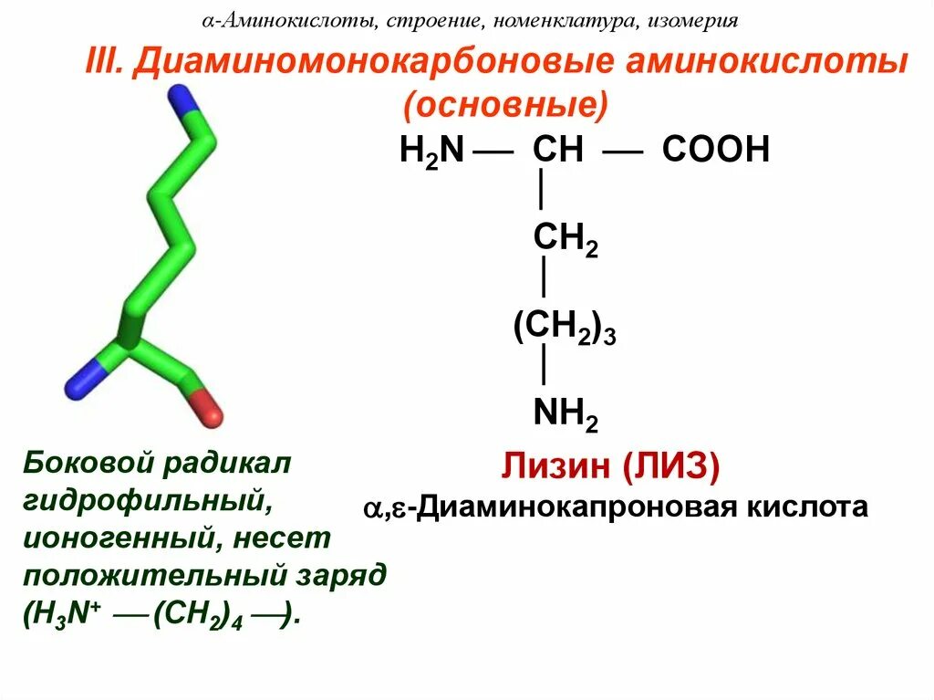 Аминокислотные радикалы