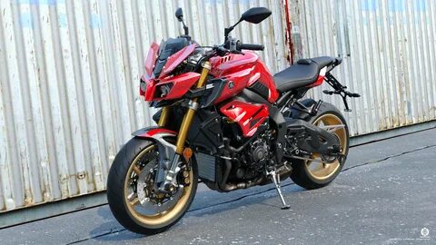 Custom 10