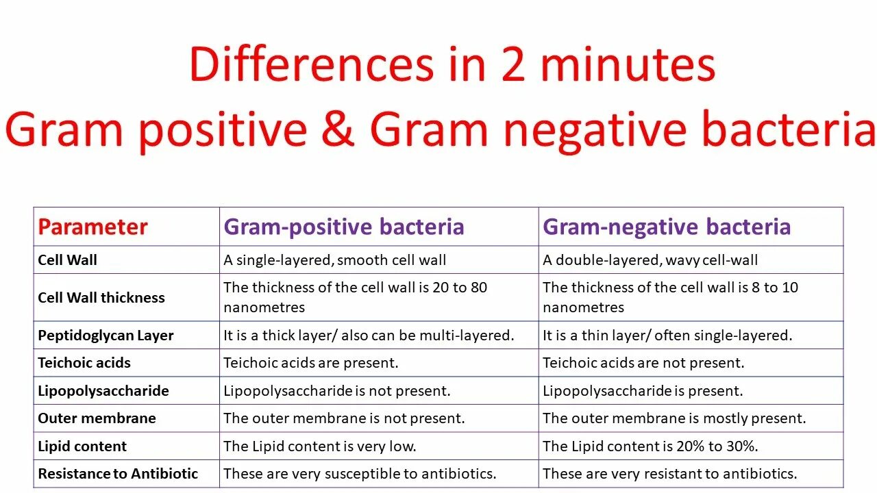 T gram. Difference between gram positive and gram negative bacteria. gram positive gram negative. gram negative bacteria. gram positive bacteria.