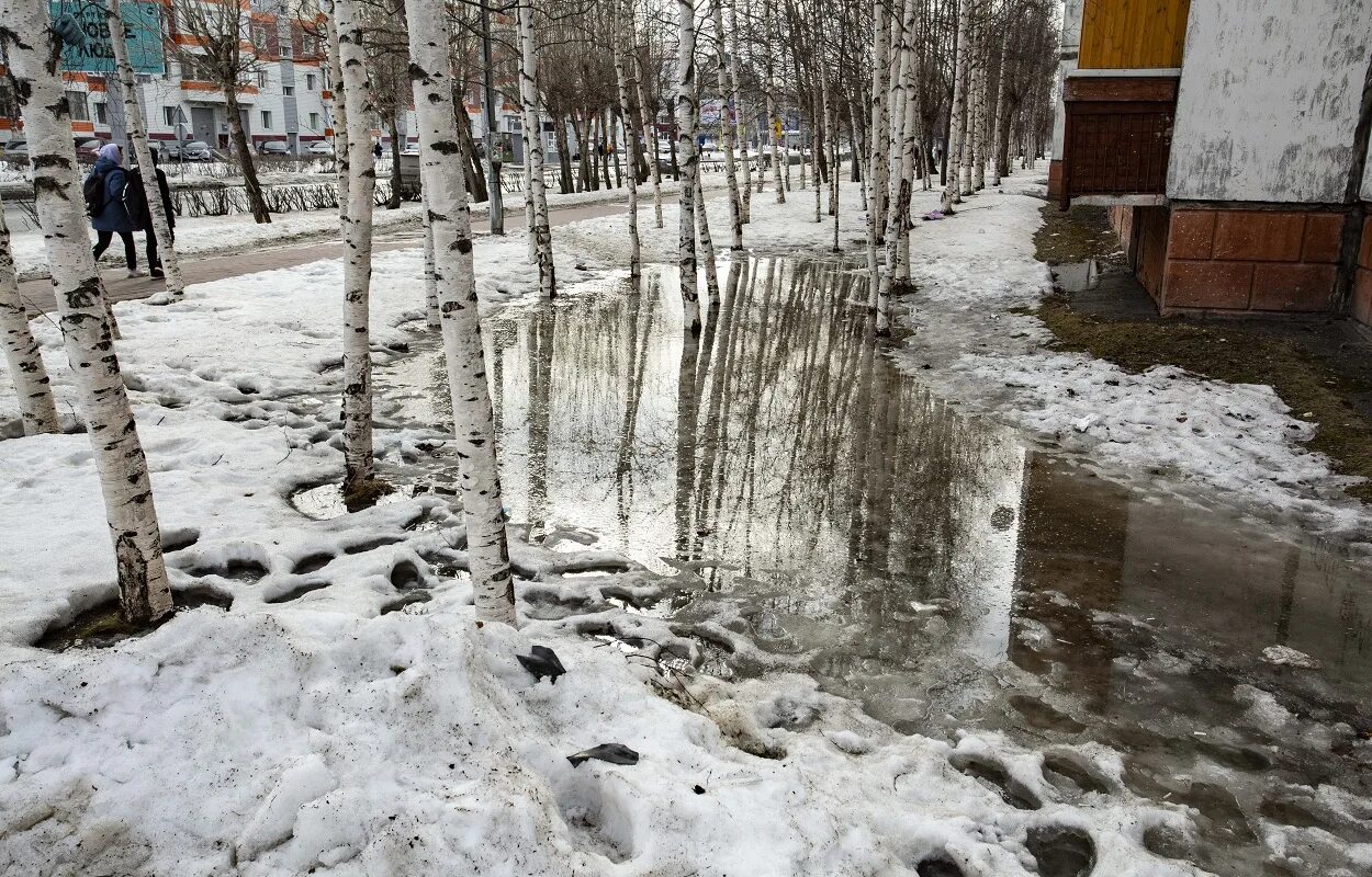 Аллергия на таяние снега. Дождь в апреле. Подтопления. Площадка для таяния снега.