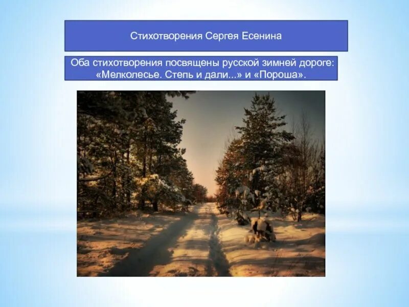 Лирический герой стихотворения мелколесье степь и дали. Стих есенина мелколесье степь. стих есенина мелколесье. стихотворение есенина мелколесье степь и дали.