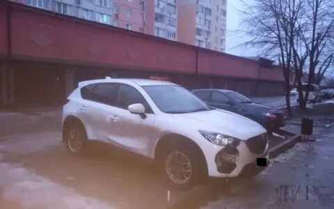 Вырезали туманки
