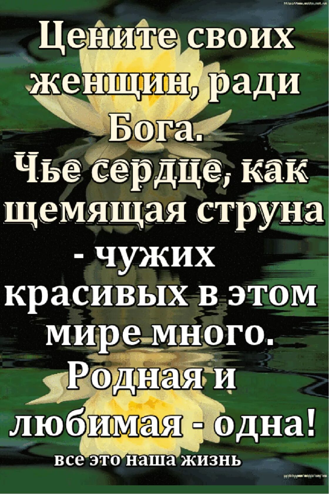 Высказывания о заботе. Мужчины цените своих женщин. Не ценят цитаты. Ценить надо тех мужчин с которыми чувствуешь. Цените женщину цитаты.