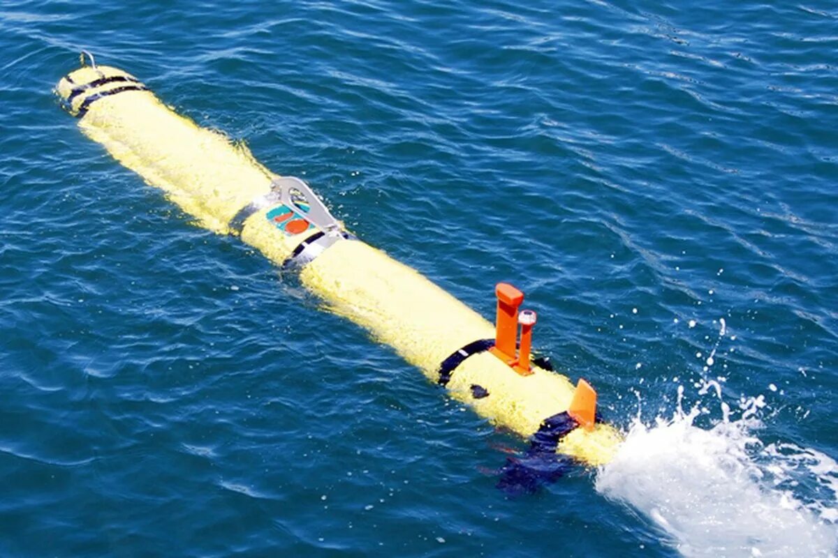 Remus 100 AUV (remus100.m). Беспилотный подводный аппарат Remus 600. Робота Remus 600. Подводный робот Ремус 600.