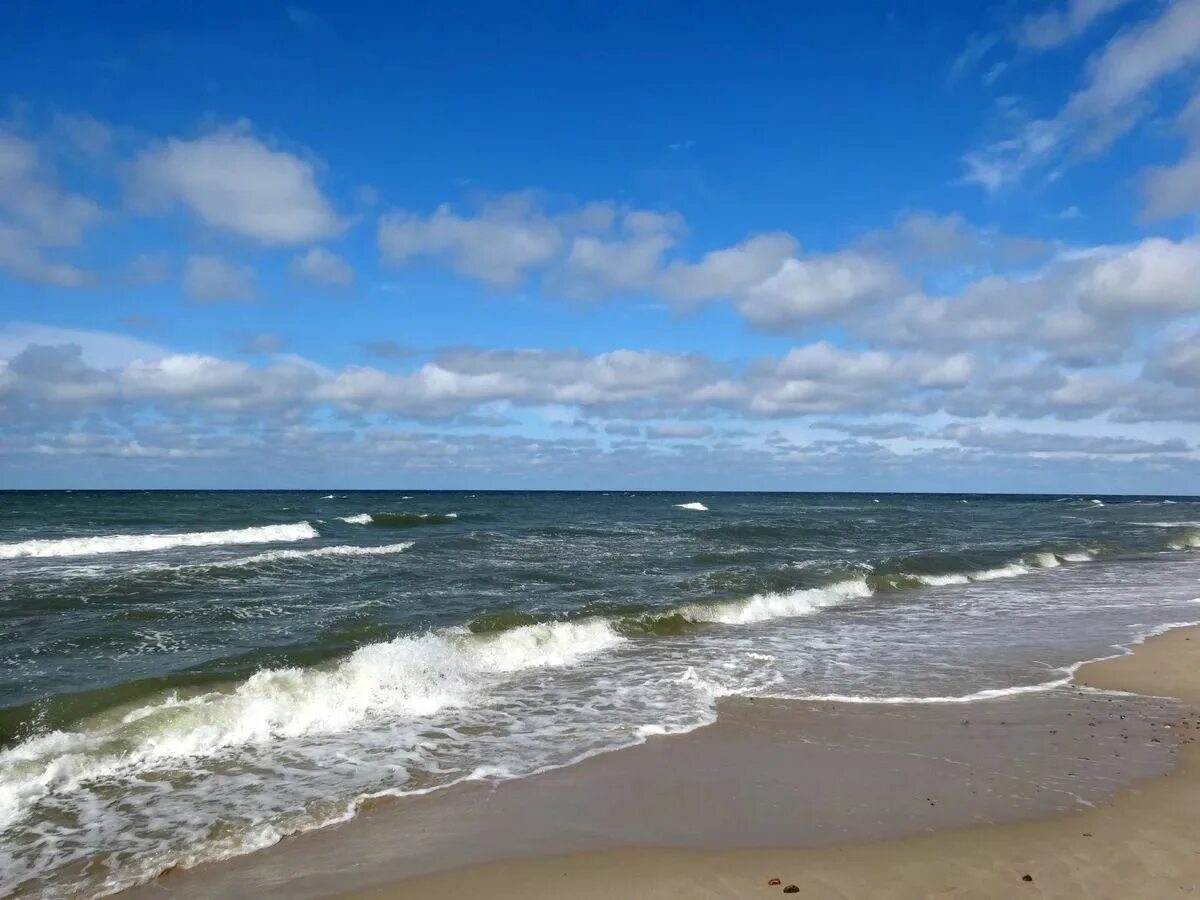 Берег балтийского моря. Балтика балтийское море. Фото балтийского моря в калининграде летом. Балтийское побережье,балтика,. Балтийское море июнь.