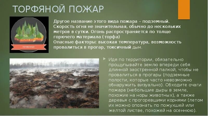 Характеристика лесных пожаров обж. Характеристика лесных пожаров ОБЖ 7 класс. Подземный торфяной пожар. Профилактика торфяных пожаров. Лесные и торфяные пожары.