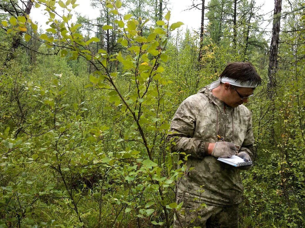 303 минприроды. Эколог в лесу. Особо защитные участки лесов. Охрана леса. Лесничество.