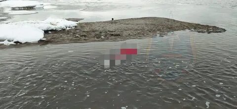 В кировске нашли