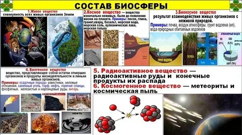 Живое вещество биосферы примеры