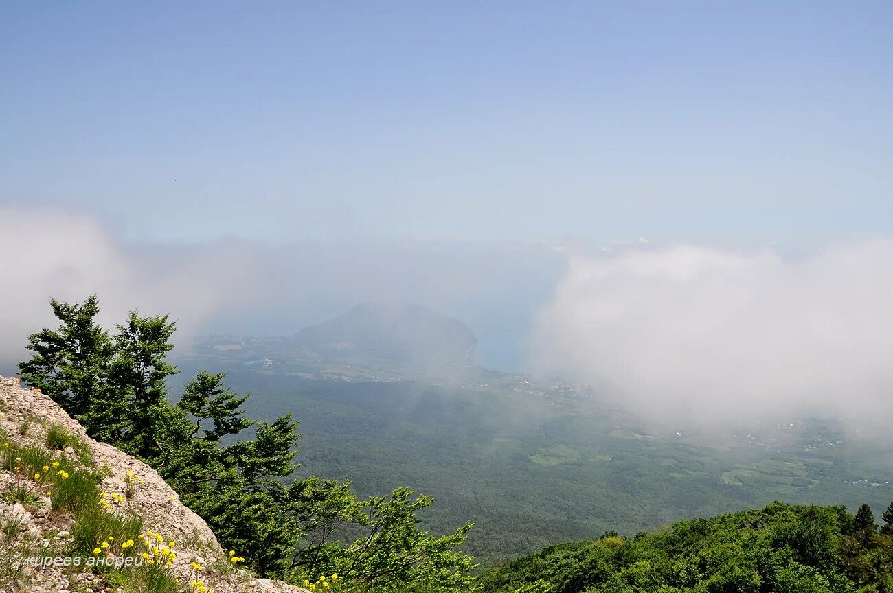 Крымский природный заповедник. Алуштинский Горно-Лесной заповедник. Крымский национальный заповедник Алушта. Алуштинский Крымский заповедник. Алушта, национальный парк Крымский Алушта.