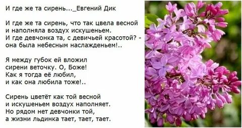 Текст веточка
