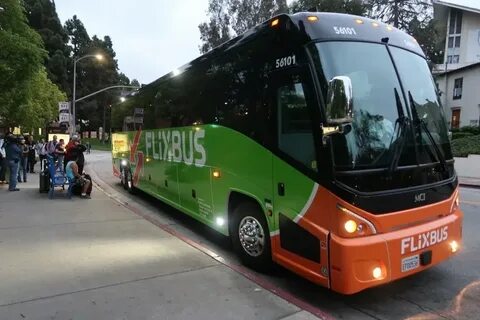 Bus los