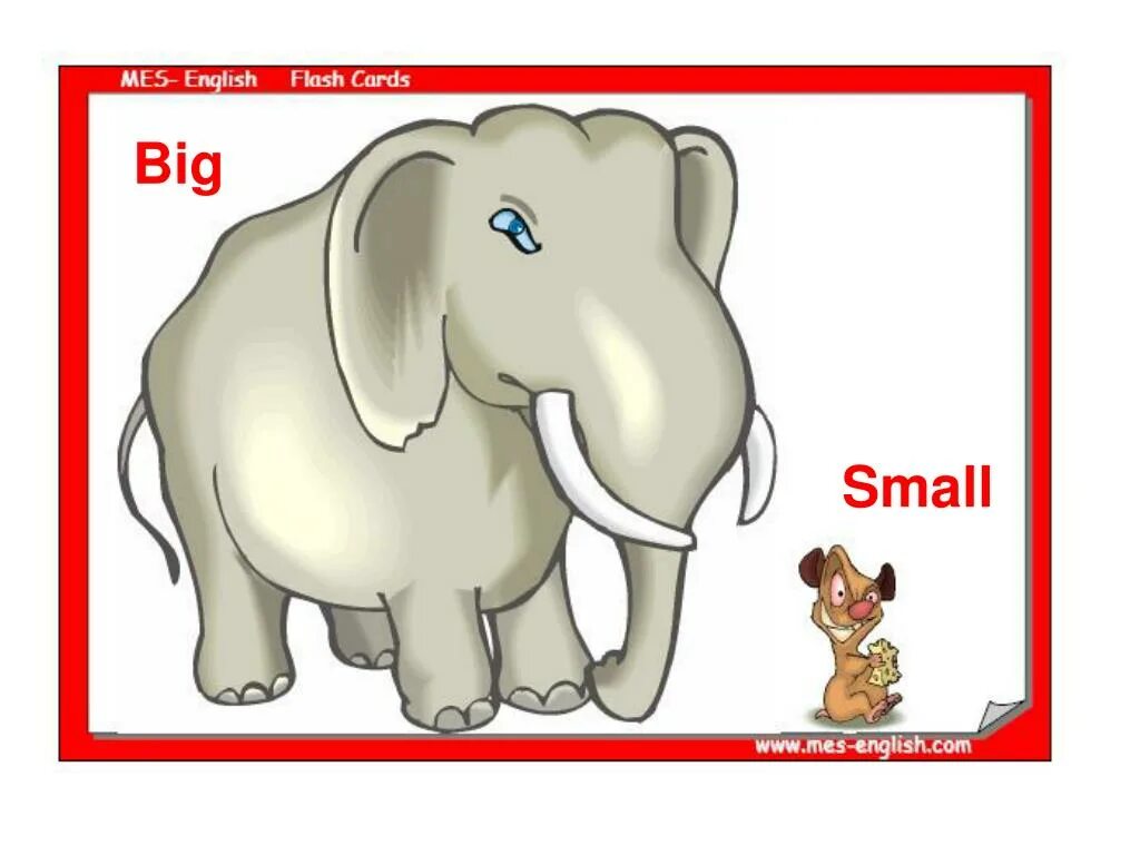 Big small. Картинки big small. Big small Flashcards for Kids. Big small картинки для детей.