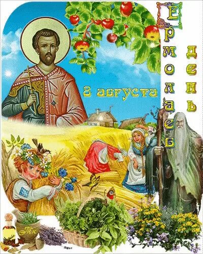8 августа что делать в этот день. 8иавгуста день ермолая.