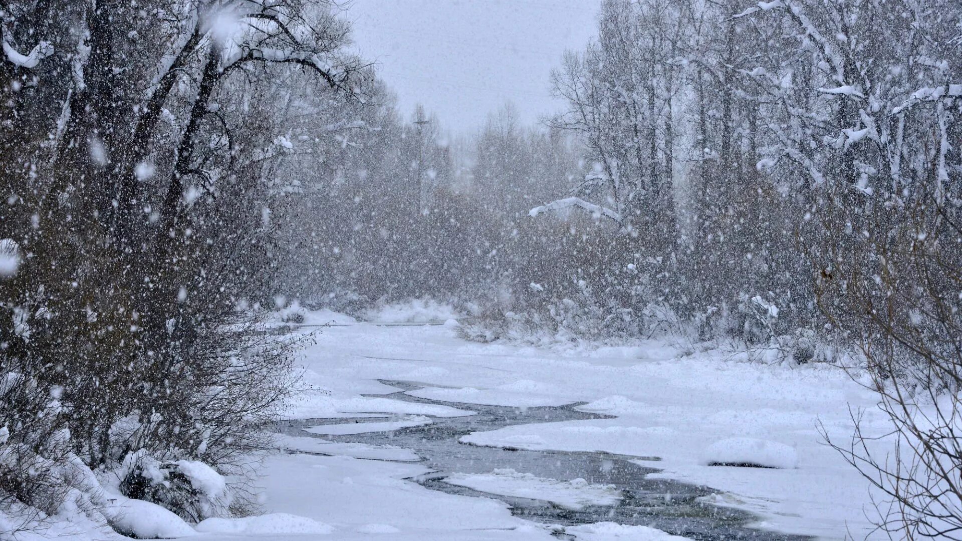 Метель весной
