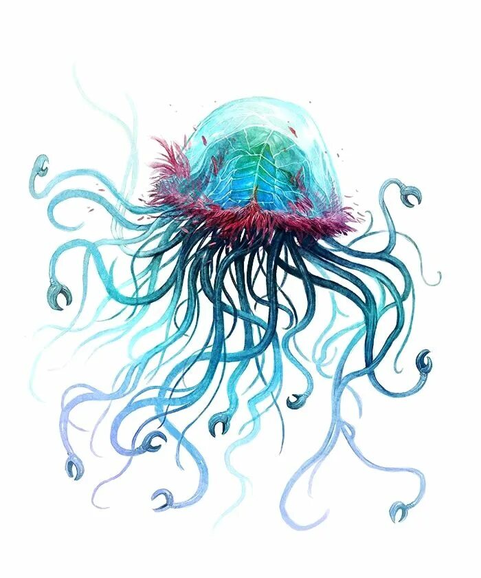 Красивые медузы. Медуза плывет. Медуза в иллюстраторе. Медуза: воскрешение медузы. Галактика медузы eso 137-001.