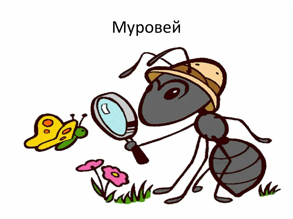 Муровей пятёрка. Краснҷй муровей. Мёдный муровей. Чистый Дон для муровей. Включи murovei