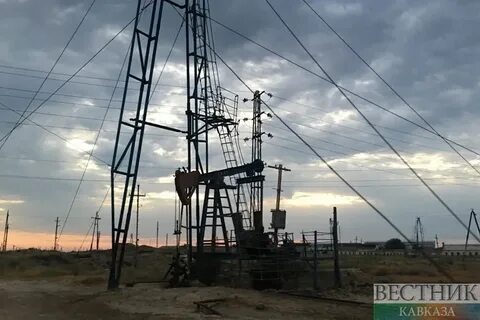 Вязки нефтяной