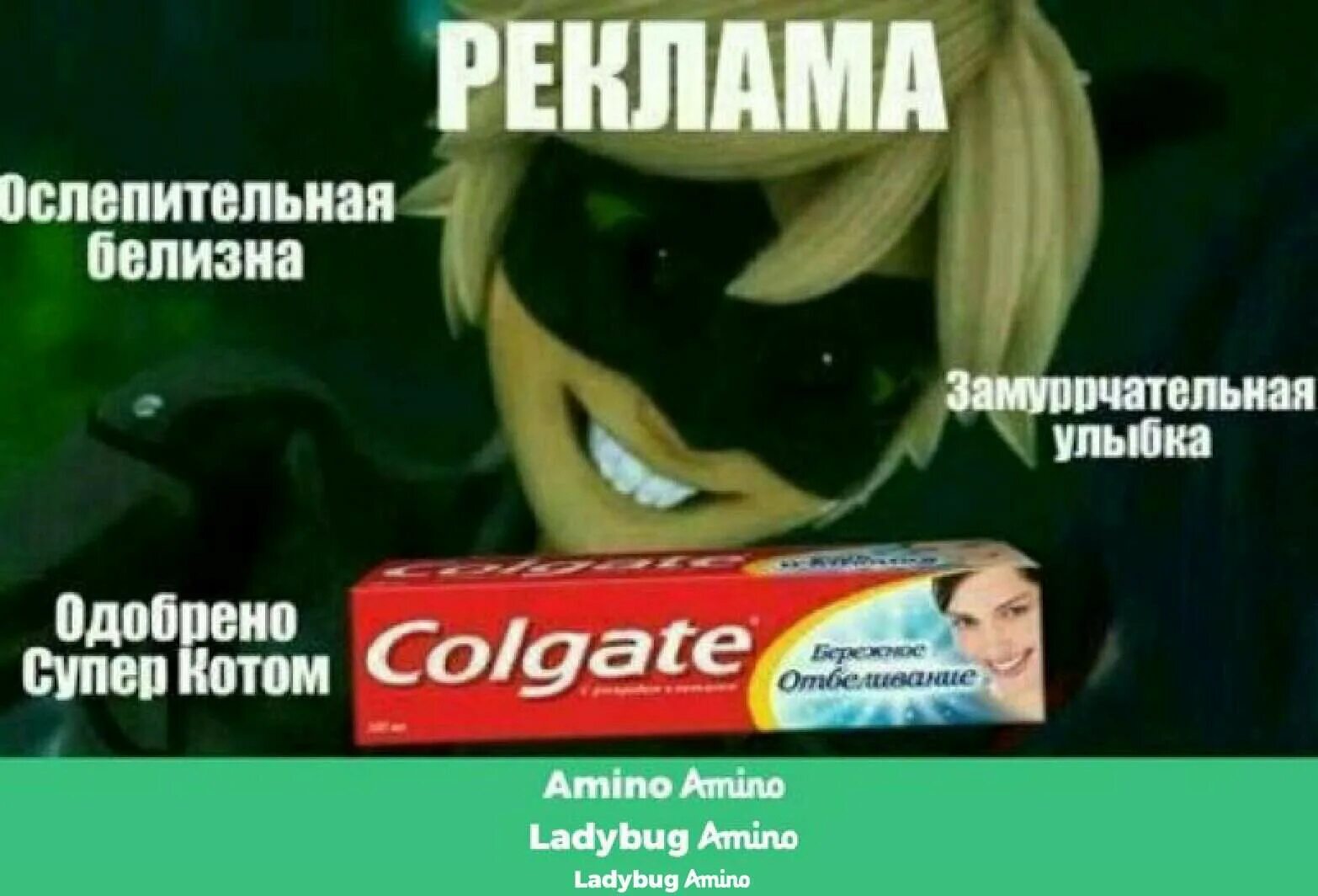 супер кот смешные видео. леди баг и супер кот нуар. леди баг алиса. супер кот мем. мемы леди баг и супер кот.