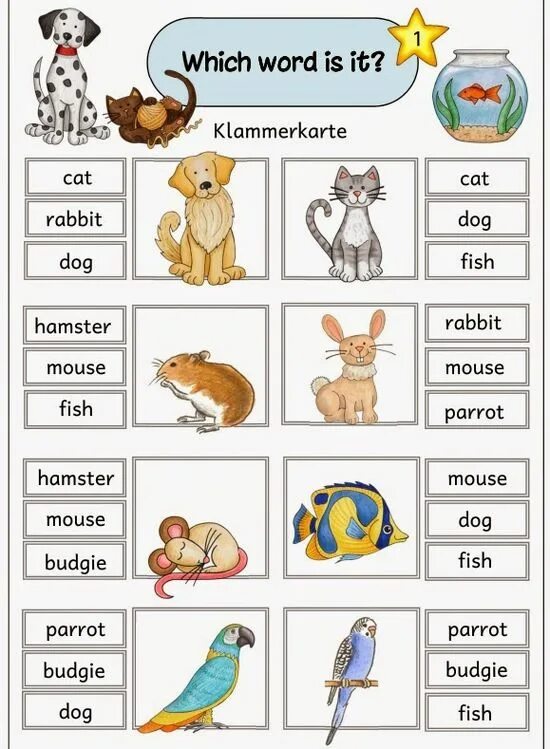 My pets английский язык. Pets задания для детей. Животные на английском для детей раскраска. Домашние питомцы задания для детей. Pets dice.