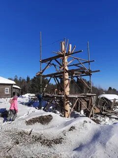 Зеленец коми