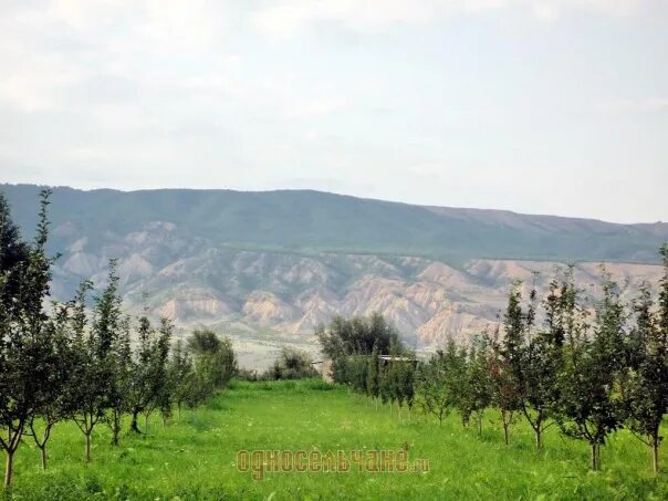 Село Мугерган Дагестан. Село Джепель Магарамкентского района. Хорель Магарамкентский район. Джепель Дагестан. Погода в хореле