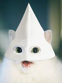 Клан коте
