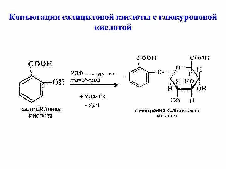 Обезвреживаются яды под действием ферментов печени. Реакция конъюгации с глюкуроновой кислотой. Глюкуронидная конъюгация салициловой кислоты. Фенол плюс глюкуроновая кислота. Реакции конъюгации с глутатионом глюкуроновой и серной кислотами.