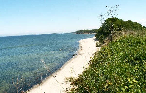 Калининград поселок куликово. Куликово море калининградская область. Калининград поселок куликово. Куликово калининградская область. Поселок куликово калининградской.