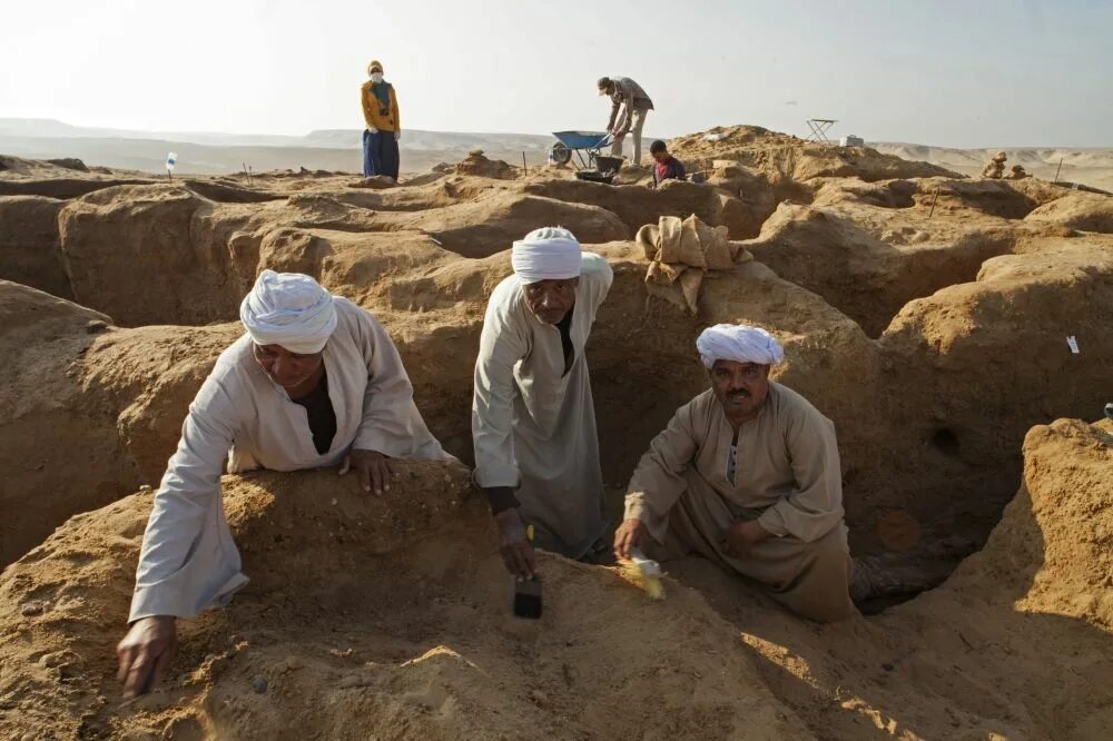 Найден каир. Фаюм Египет. Оазис Фаюма Египет. Раскопки археологов в Египте.