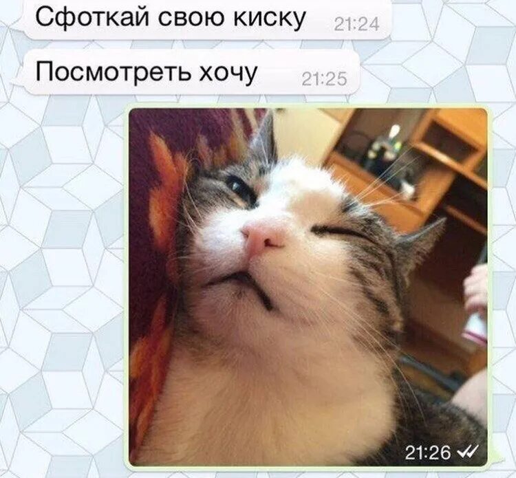 Хотите покажу киску