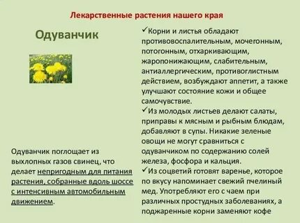 Сочинение травы