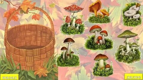 Грибы ягоды детский сад