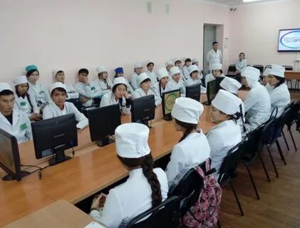 Медов павлодар