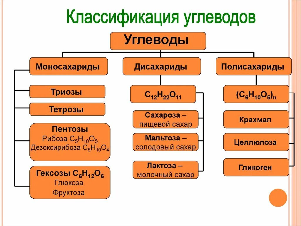 Углеводы конспект 10 класс