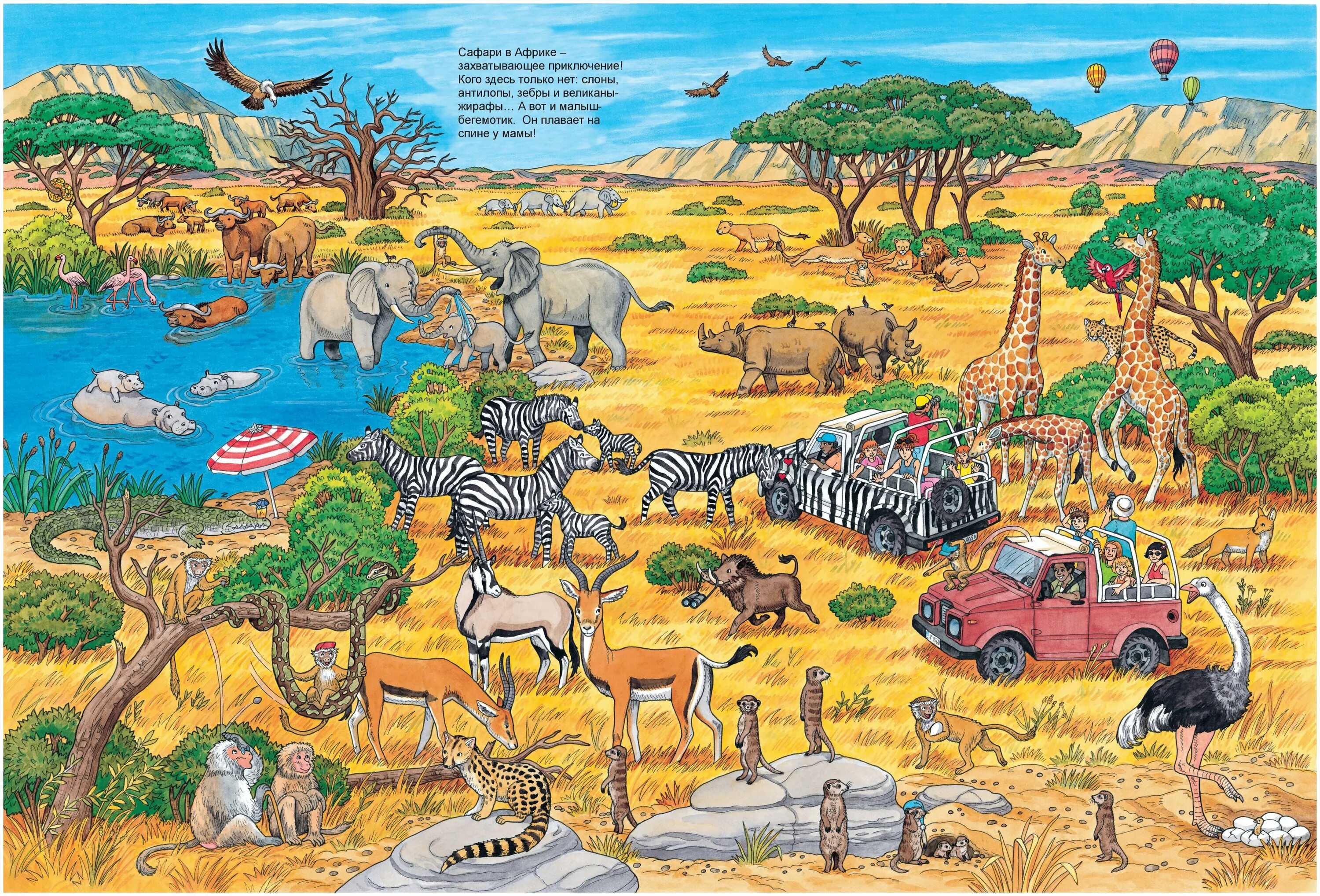 Виммельбух росмэн. Виммельбух животные. Виммельбух сказочный лес. Великий вимельбух тварини. Карьяд жизнь животных виммельбух.