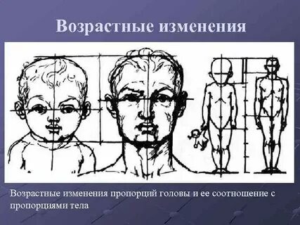Голова меньше туловища