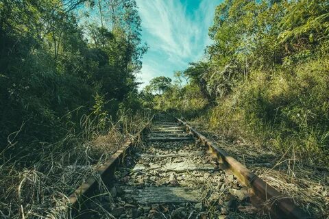 Wild environment