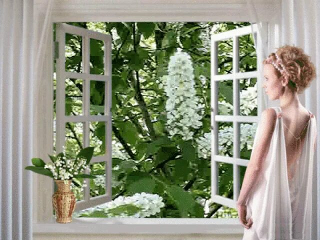 За окном белом платье. Черемуха в окне. Гифки окно с занавесками. Окно цветы белая штора. Занавески колышутся.