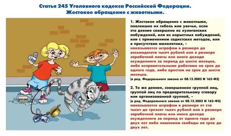 245 УК РФ жестокое обращение с животными. 245 Статья УК РФ. Уголовный кодекс. Жестокое обращение с животными статья.