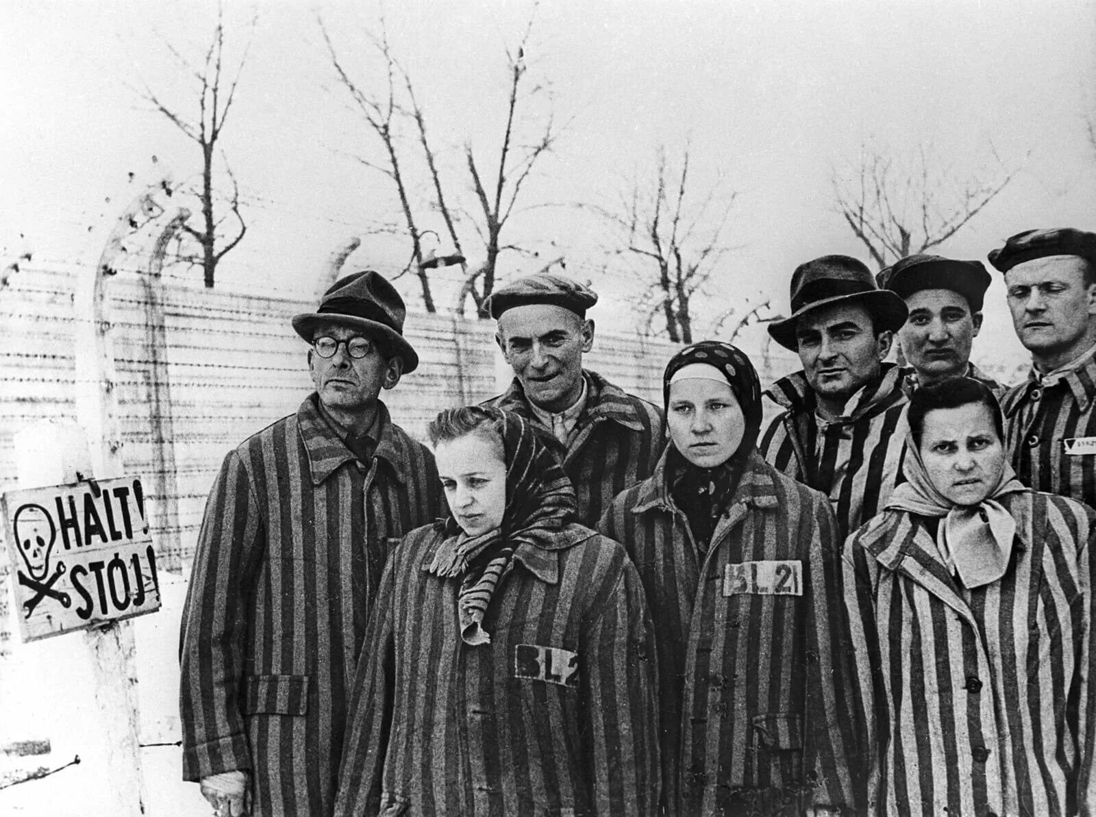 Общество узников. Узники освенцима лагеря. Дети концлагерей. Общество узников. Освобождение лагеря аушвиц.